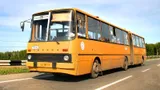 Теперь понятно, почему в СССР автобусы красили в желтый цвет: в этом был практический смысл