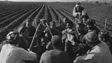 Оказывается, в СССР этим привычным нам словом называли другое. Вот что еще означало «дача»