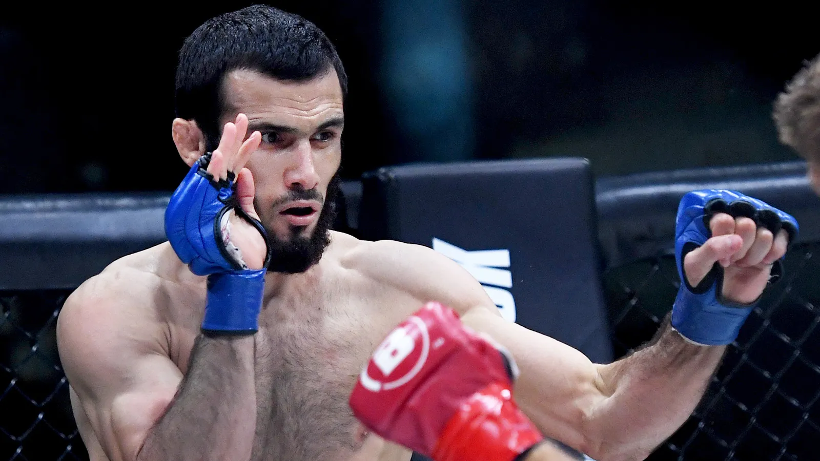 Ислам Мамедов одержал победу раздельным решением на турнире