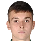 Егор Кравцов