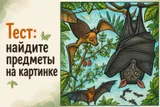 Тест на деменцию: сможете найти все 6 предметов, спрятанных на картинке? 