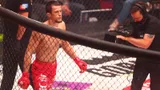 «Будет нервно и интересно». Хабиб — о бое Усмана Нурмагомедова на турнире Bellator в Москве 