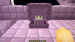 Для чего нужны шалкеры в Minecraft и как их найти: подробный гайд