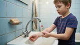 Можно ли мочить манту: разрушаем миф из СССР
