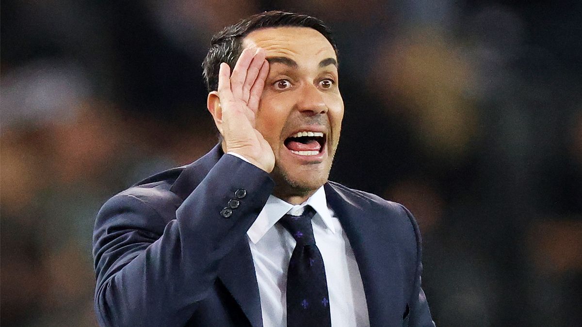 Раффаэле Палладино стал новым главным тренером «Аталанты»