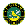 Дивина