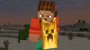 Как добавить плащ в Minecraft: инструкция по установке