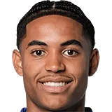 Саша Бричги