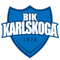БИК Карлскуга