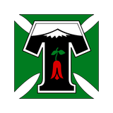 Депортес Темуко