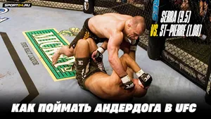 Что значит андердог в UFC: полное руководство
