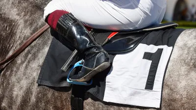 Конный спорт