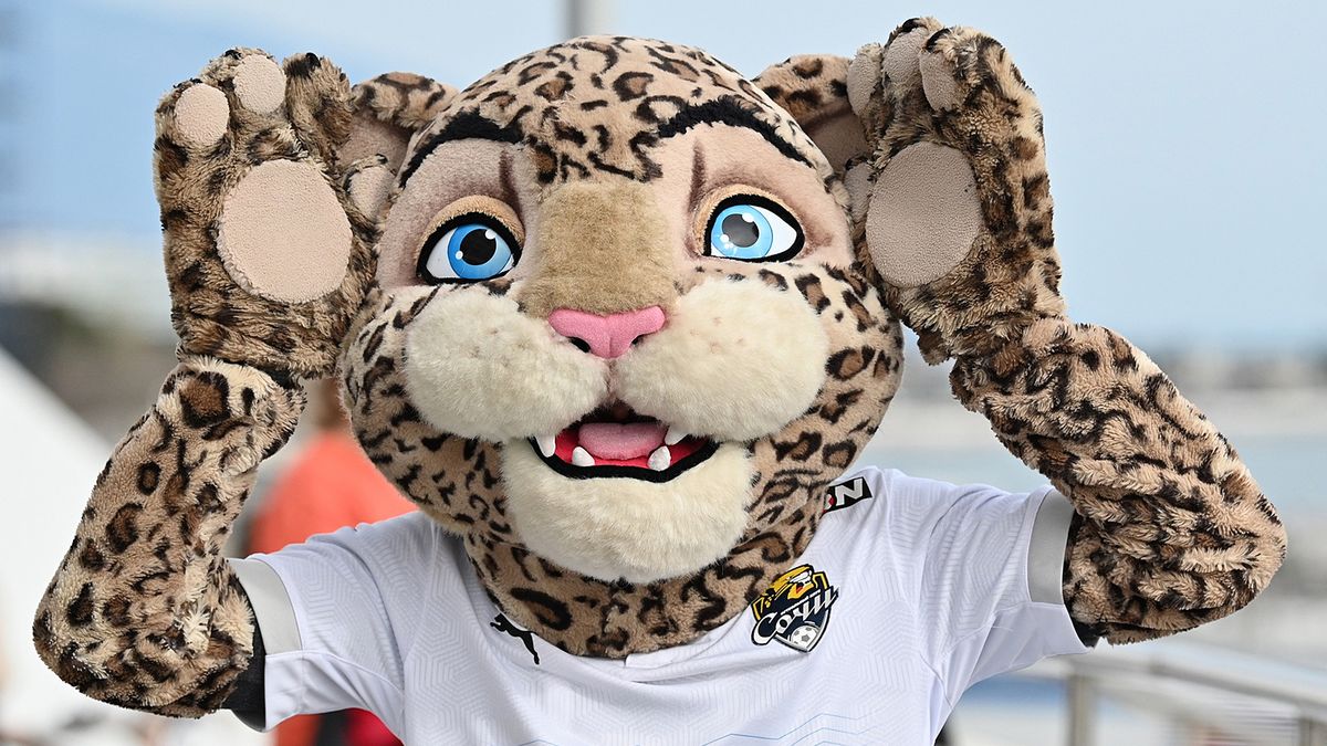 «Сочи» интересуется двумя нападающими из Южной Америки