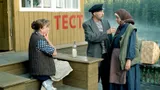 Тест по фильму «Любовь и голуби»: какой кадр с второстепенным героем взят из легендарного кино СССР?