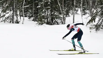 Ксения Шорохова