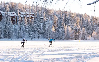 Лыжные гонки