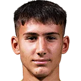 Вук Драшкич