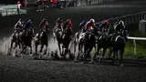 Международная федерация конного спорта сняла все ограничения с российских всадников