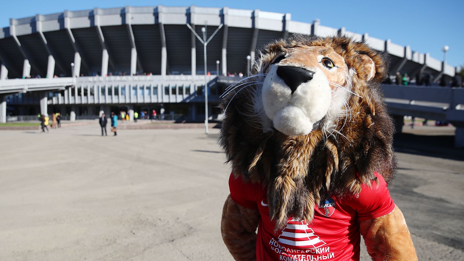 Лев спорт. Лев Елисей ФК Енисей. Спортивный Лев. Фото спортивный Лев. Лев спортивный Китай.