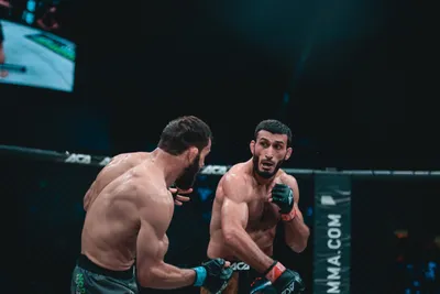 Магомедрасул Гасанов