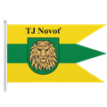 Новоть