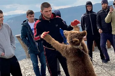 Хабиб Нурмагомедов
