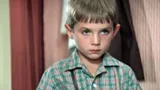 Как сложилась судьба Юрки из фильма СССР «Мачеха»: получил роль случайно, ушел из кино ради космоса и авиации