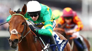 Зарплата, вес, тактика: все, что вы хотели знать о жокее