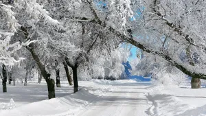 Тест для знатоков литературы: угадайте поэта по отрывку из стихотворения о зиме