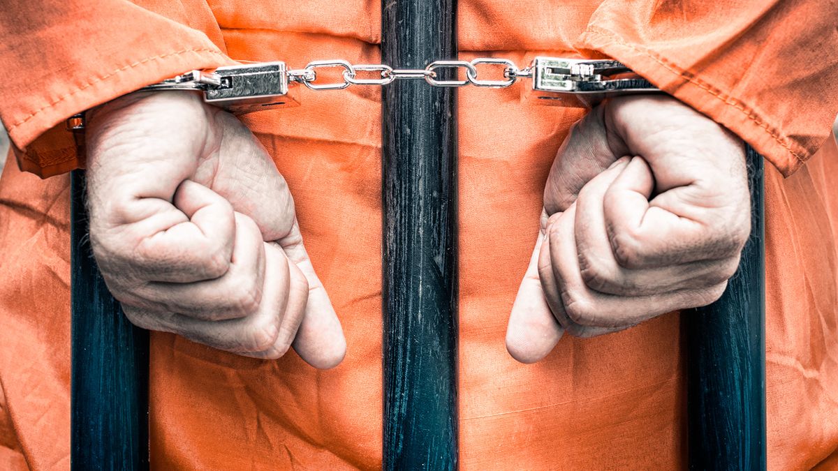 Полицейские из Перу переоделись в маскотов ЧМ для ареста наркодилера