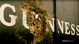 Посмотрела сериал «Дом Гиннесса» про наследников пивоваренной компании. Не только историческая, но и семейная драма