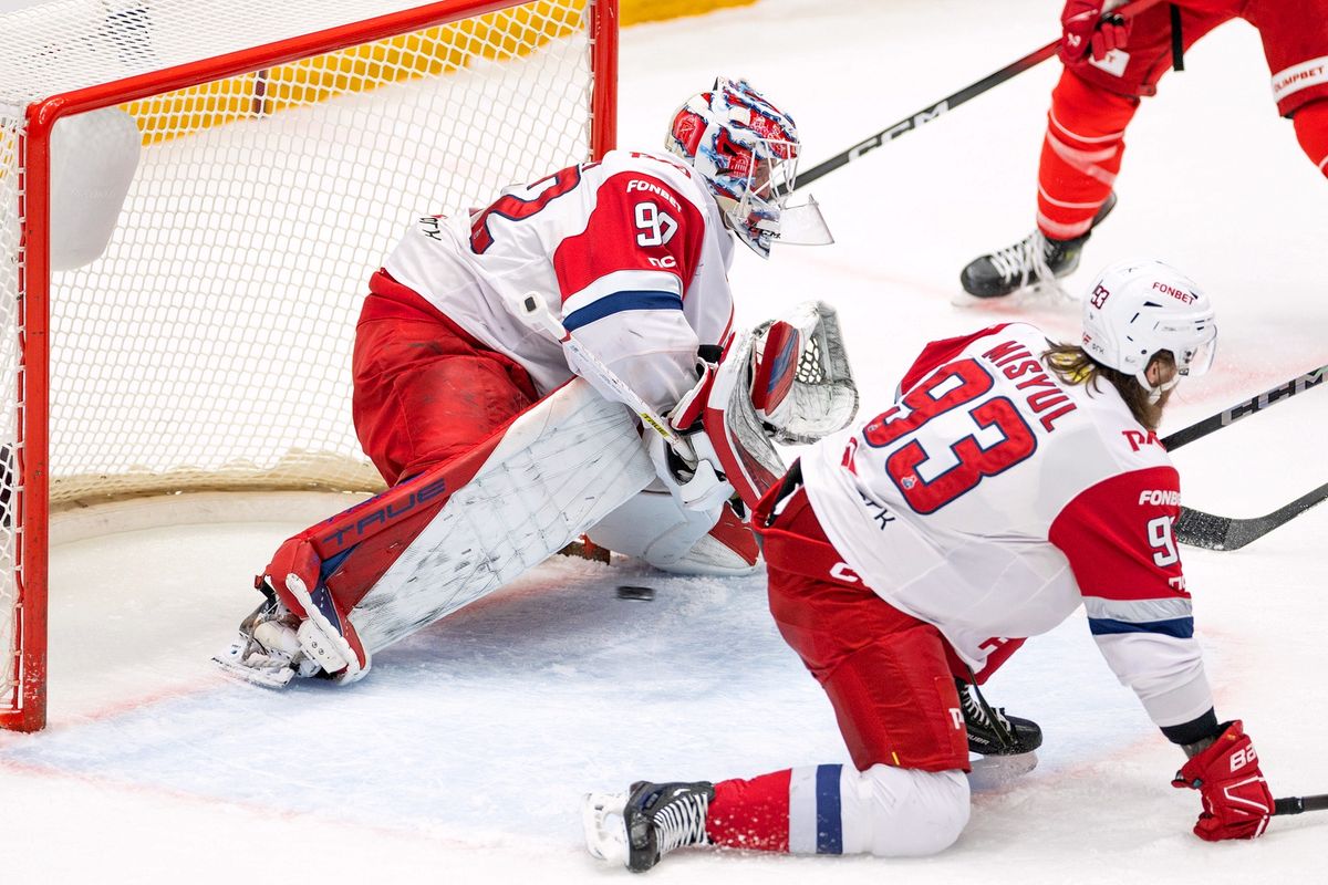 Кулачное побоище после сирены, горячая красавица на льду, поросята на трибуне! «Спартак» — «Локомотив»: фото