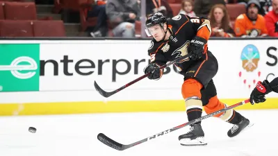 ХК Анахайм Дакс