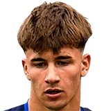 Алехо Хельсомино