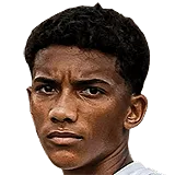 Робиньо Жуниор