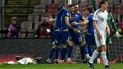 Сборная Боснии и Герцеговины по футболу