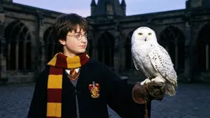 Теперь понятно, почему у совы Гарри Поттера такое странное имя: оказывается, в нем скрыт особый смысл