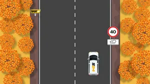 Этот вопрос экзамена в ГАИ заставляет ошибаться из-за редкого сочетания знаков: сможете ответить верно?