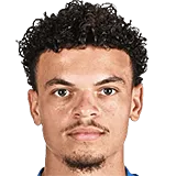 Тристан ван Гилст