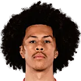 Джоэл Дрейкс-Томас