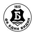 Бдин Видин