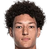 Фабиан Мерин