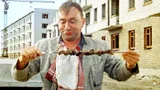 7 лучших маринадов для шашлыка: от кефирного до пивного