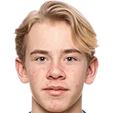 Карл Сельфвен