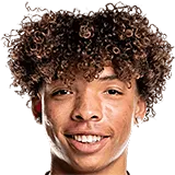 Доминик Чун-Ки