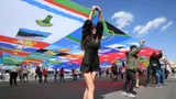 Тест: угадайте город России по его флагу. Проверьте свои знания географии