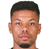 Микаэль Дюрестам