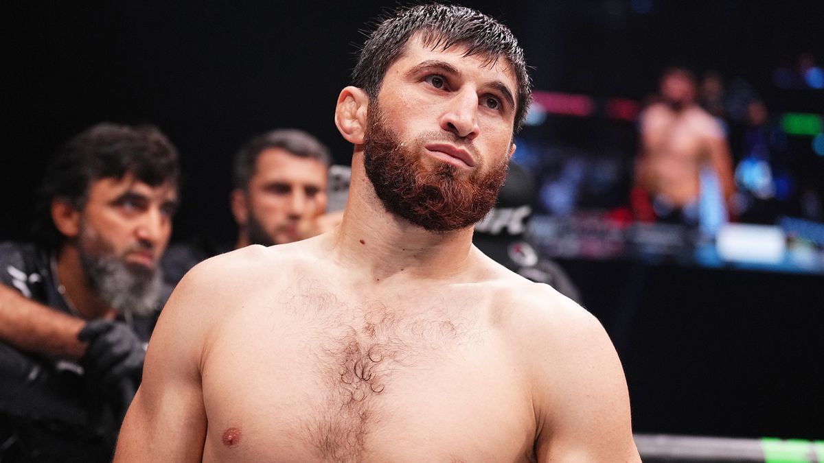 Перейра сенсационно нокаутировал Анкалаева, Мераб снес Сэндхагена и вызвал Петра Яна: как это было