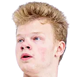 Арсений Димитриев