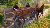 Полная карта мира Kingdom Come: Deliverance 2 — все регионы и ключевые места 